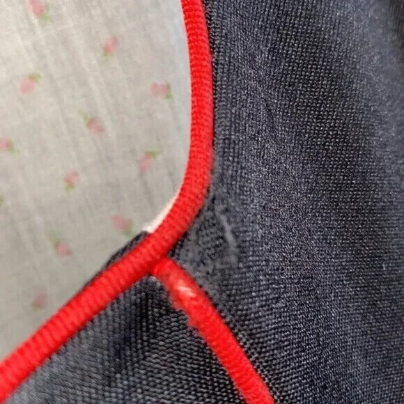 Vintage Licht Trachtenhaus Dress Holland German Dirndl Square Dance Rose Size 12 - Picture 13 of 15